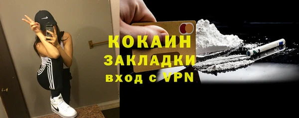 дживик Баксан