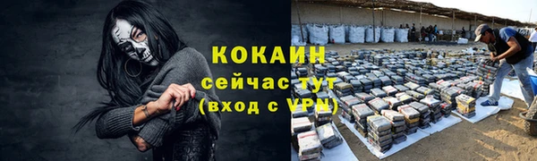 дживик Баксан