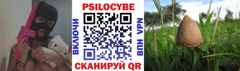 Псилоцибиновые грибы Psilocybe Воркута